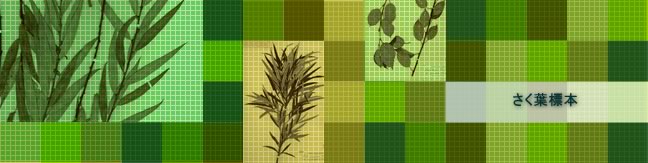  東北大学総合学術博物館データベース　植物　「さく葉標本」