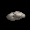 Foraminifera, Hirsutella scitula (Brady, 1882)