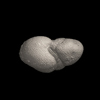 Foraminifera, Fohsella peripheroronda (Blow and Banner, 1966)
