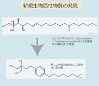 薬用資源の化学構造式