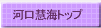 河口慧海トップ