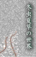 本草学の中の「冬虫夏草」